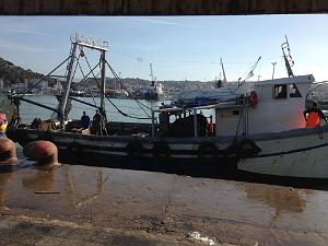 NEMOURS (1) LE PORT